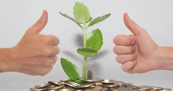 Dos puños en posicion de  acuerdo frente a una planta con dinero masfacilabogados