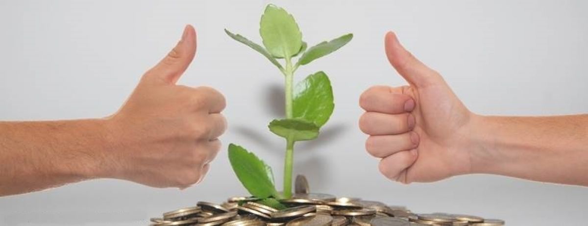 Dos puños en posicion de  acuerdo frente a una planta con dinero masfacilabogados